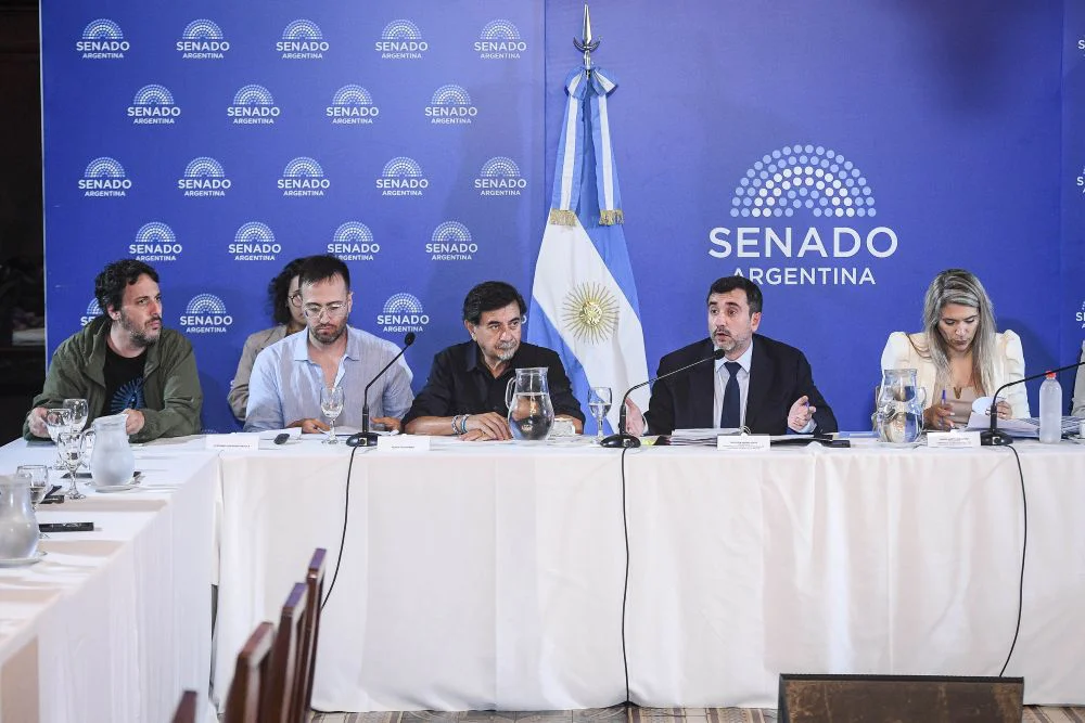 Senado debate en comis prop privada by Senado