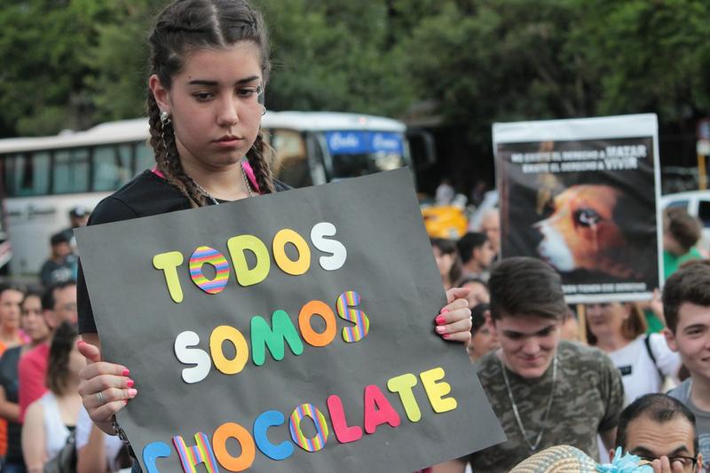 FOTO MARCHA CHOCOLATE 4