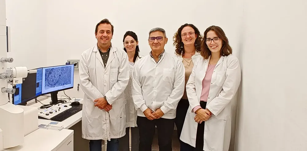 Avance para frenar el crecimiento de tumores intracraneales (UNCiencia) 2
