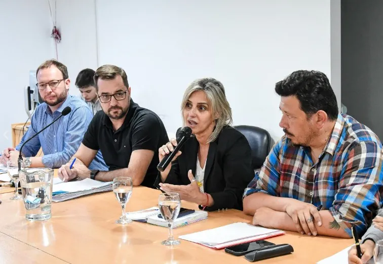 concejo deliberante