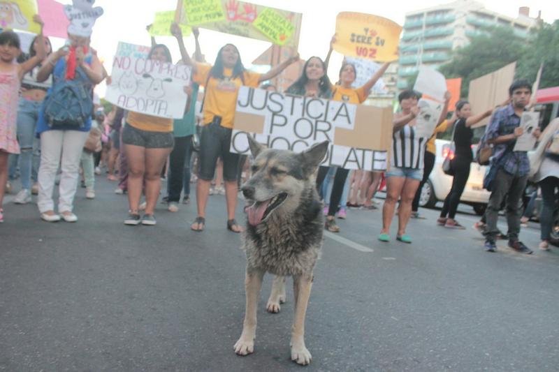 FOTO MARCHA CHOCOLATE 6
