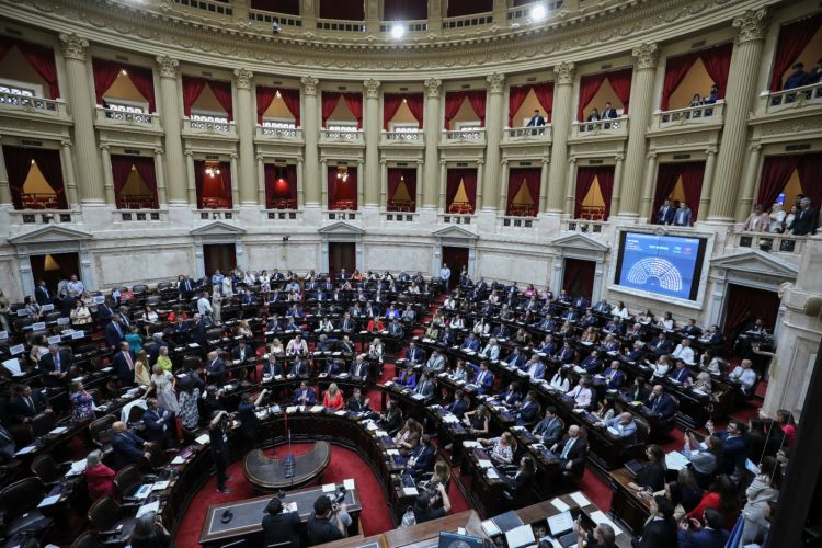 Sesion en Diputados El Parlamentario