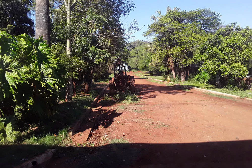 minas wanda (4)