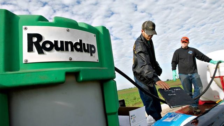 monsanto