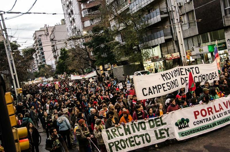 bosques 17